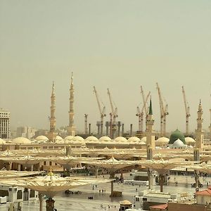 Taiba Madinah